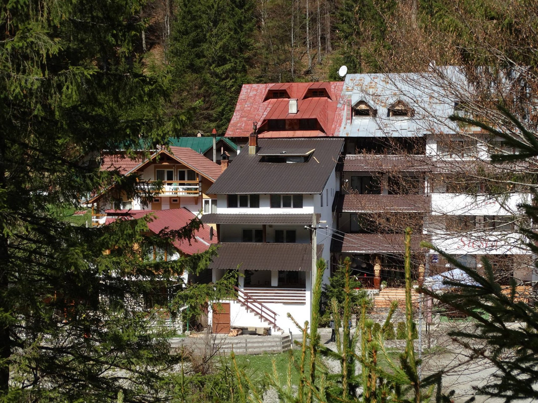 Casa Flora