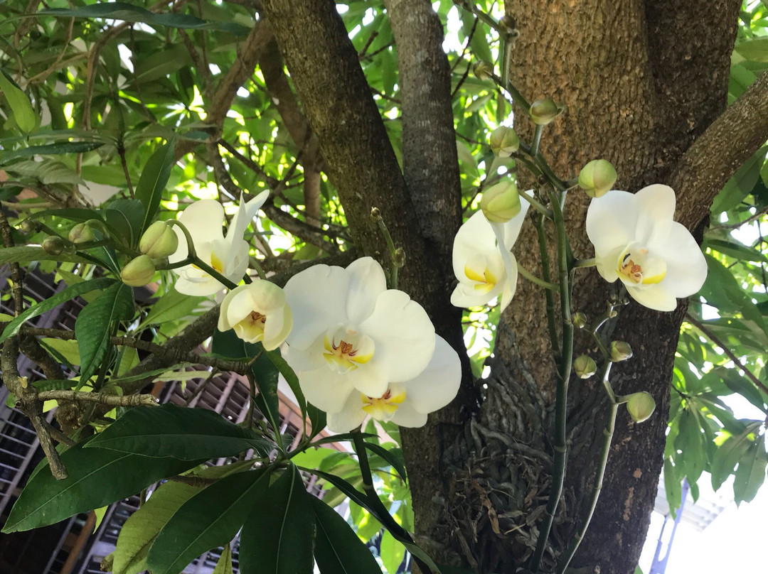 Burnedale Farm-Umhlali必去景点