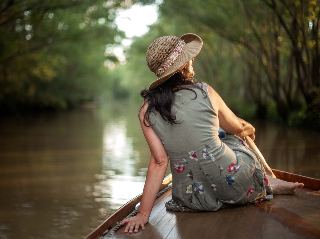 Delta Unplugged-蒂格雷必去景点