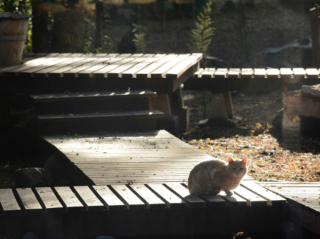 Hotel Borde Andino主图