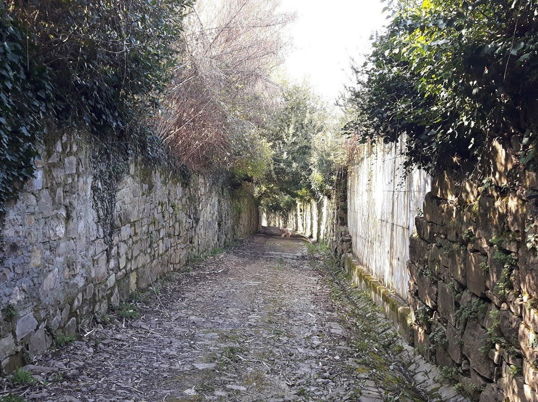 San Gersole - Torre Rosse旅游景点-Viuzzo dei Catinai