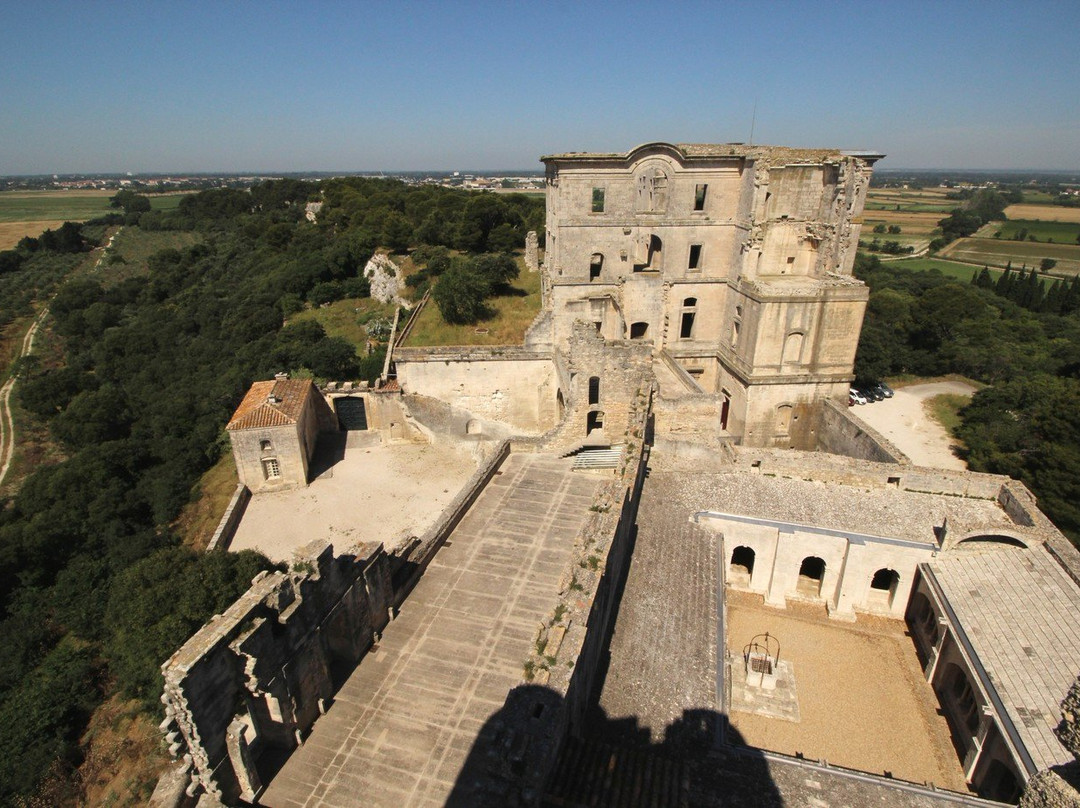 Abbaye de Montmajour景点图片