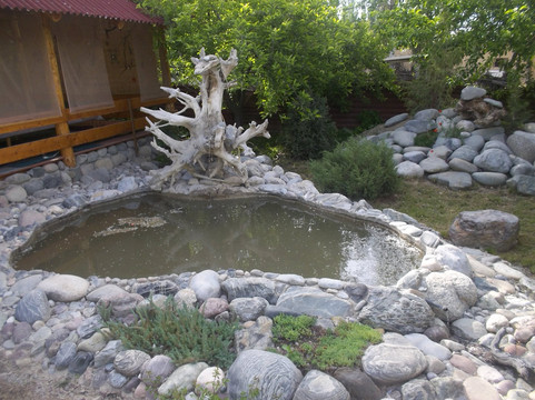 Baibol guest house主图