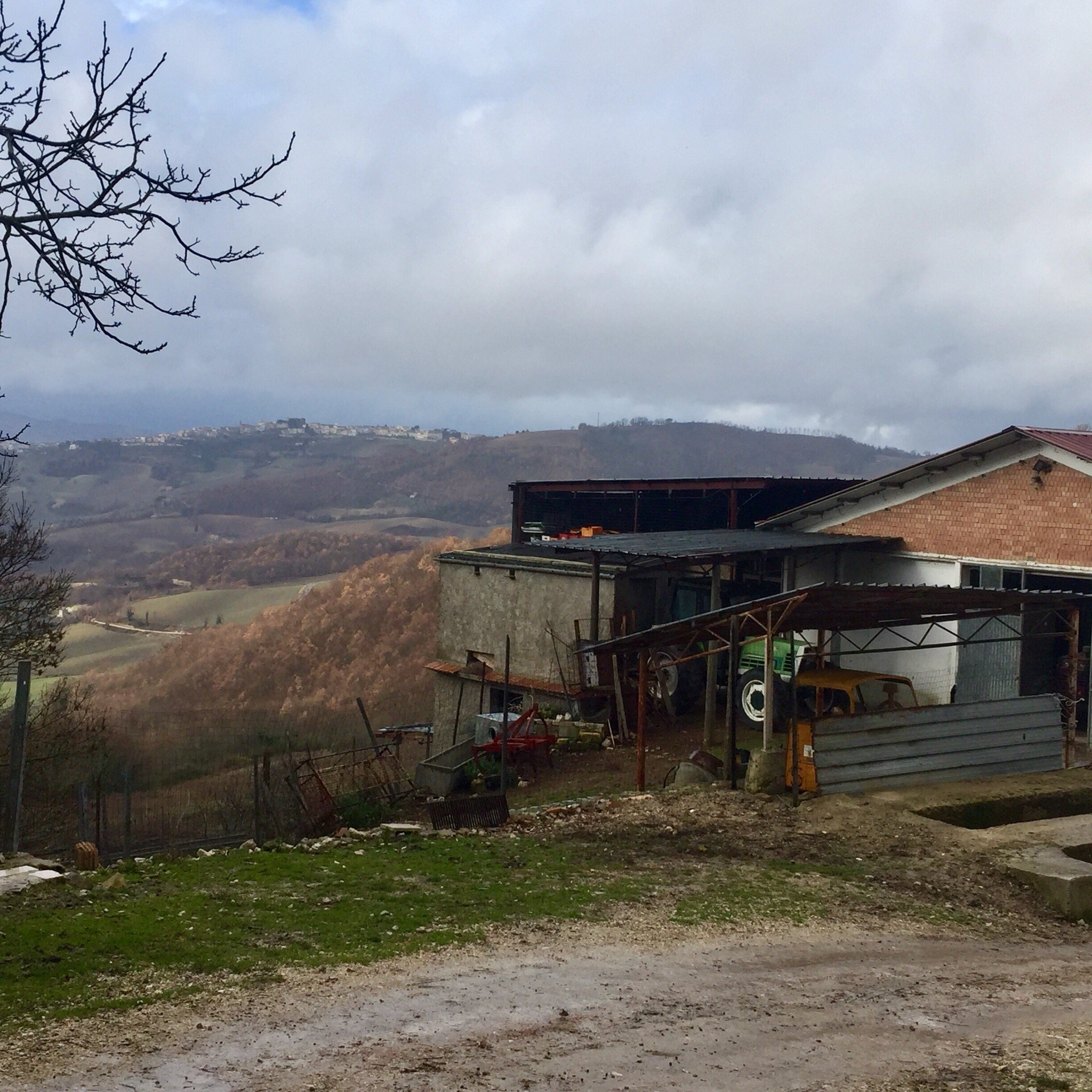 Avellaneta Farm Stay-官方