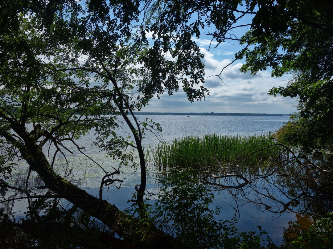 Nature Reserve Szaniawski Gorge景点图片