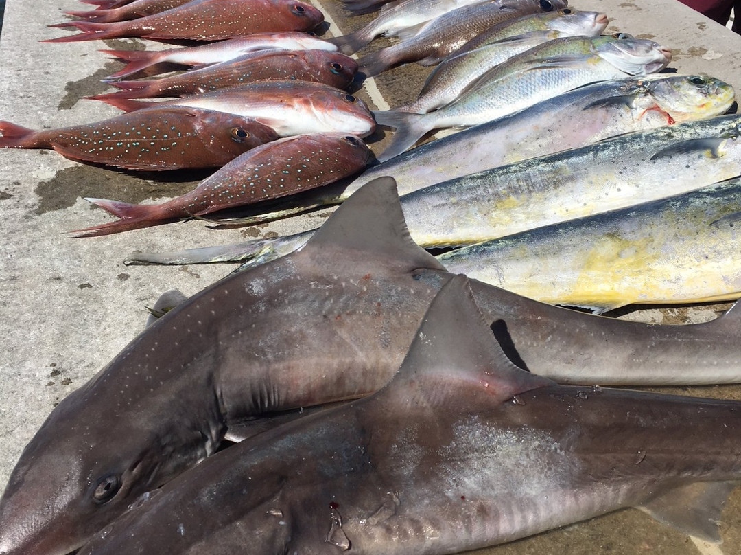 Reel Time Fishing Charters景点图片
