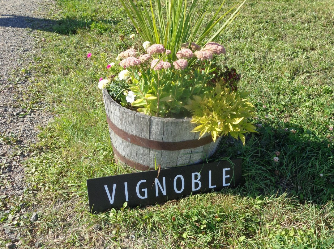 Vignoble Domaine L'Ange Gardien景点图片