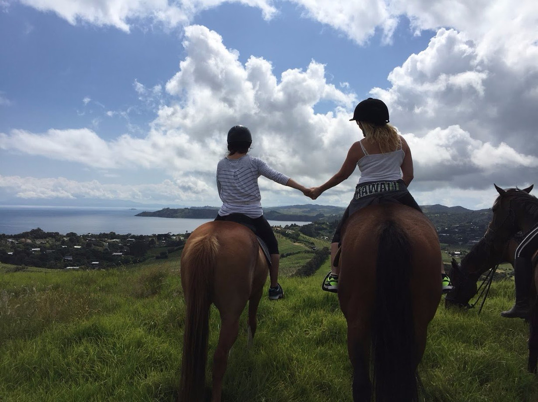 Waiheke Equestrian-怀系奇岛必去景点