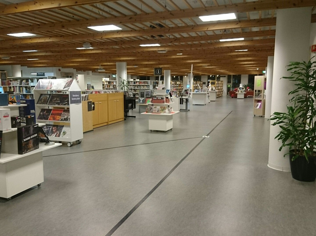 Trondheim Public Library-特隆赫姆必去景点
