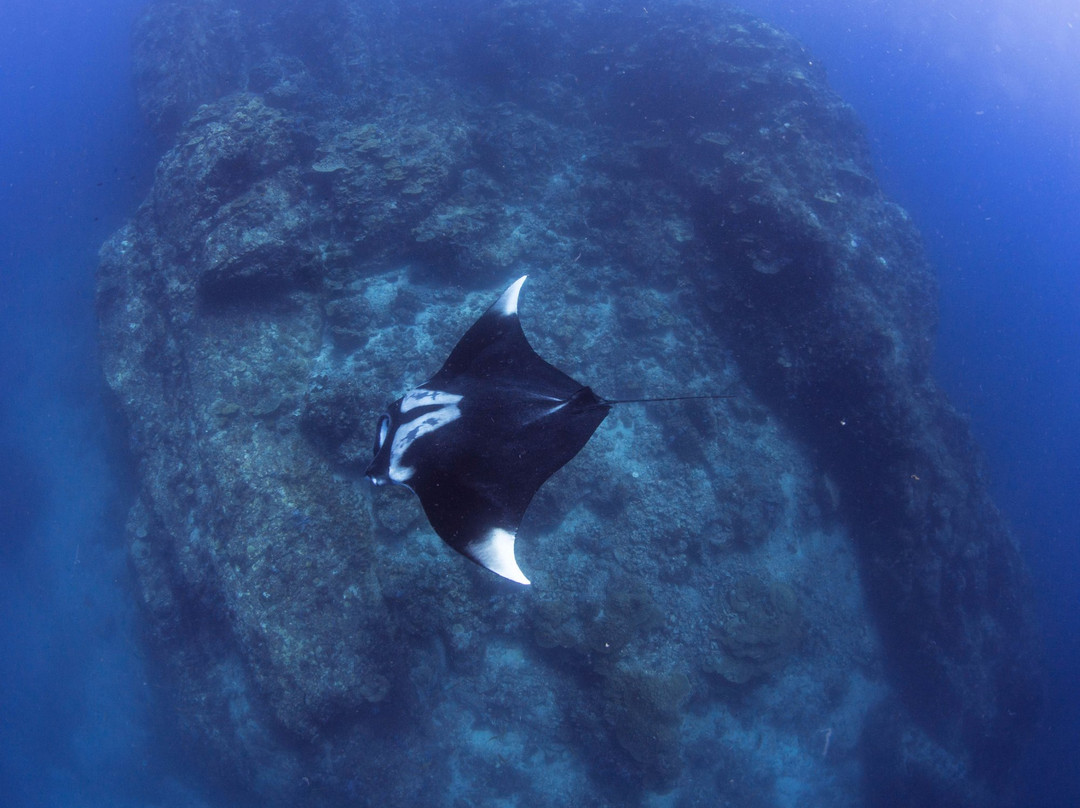 Trang Scuba Diving景点图片