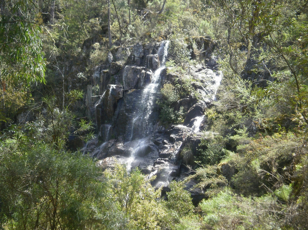 Bluff Falls-Cudgewa必去景点