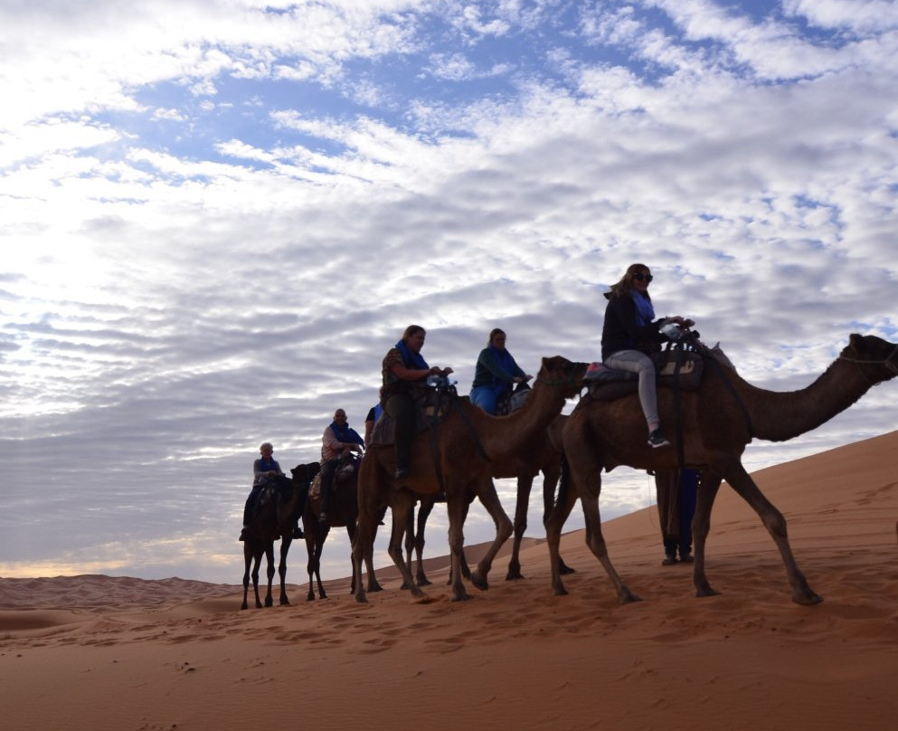 Erg Chebbi Dunes-梅克内斯-塔菲拉勒特区必去景点