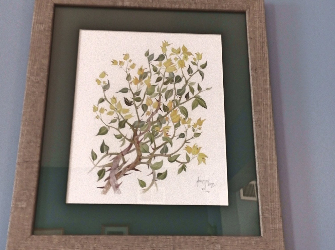 Art Provo-普罗维登西亚莱斯必去景点