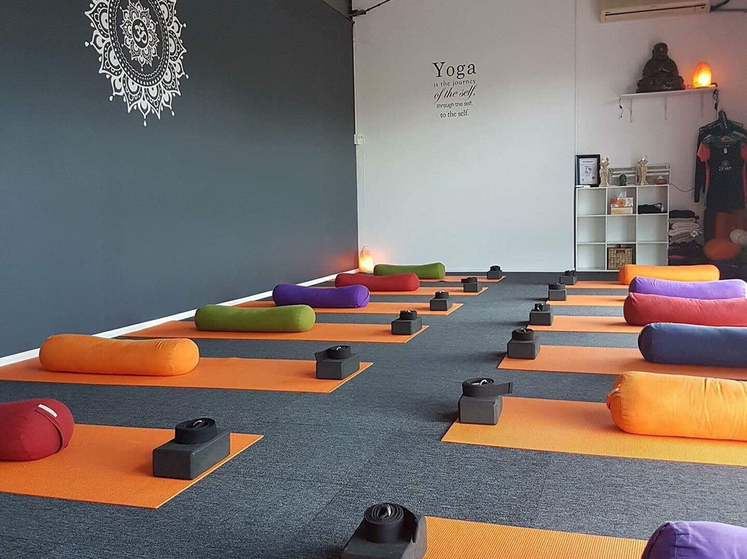 Terranora旅游景点-Focus On You Yoga