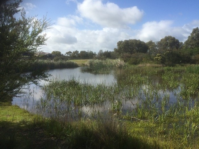 Summerfield Wetlands and Playground景点图片
