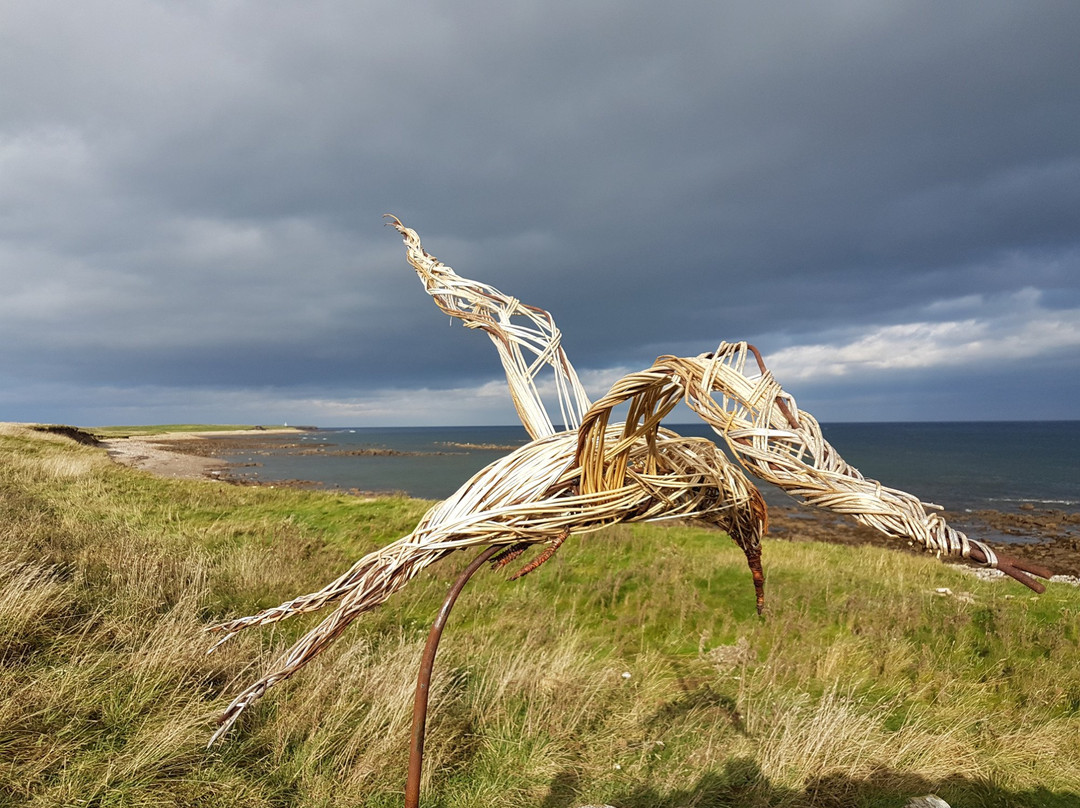 Lindisfarne National Nature Reserve-Holy Island必去景点