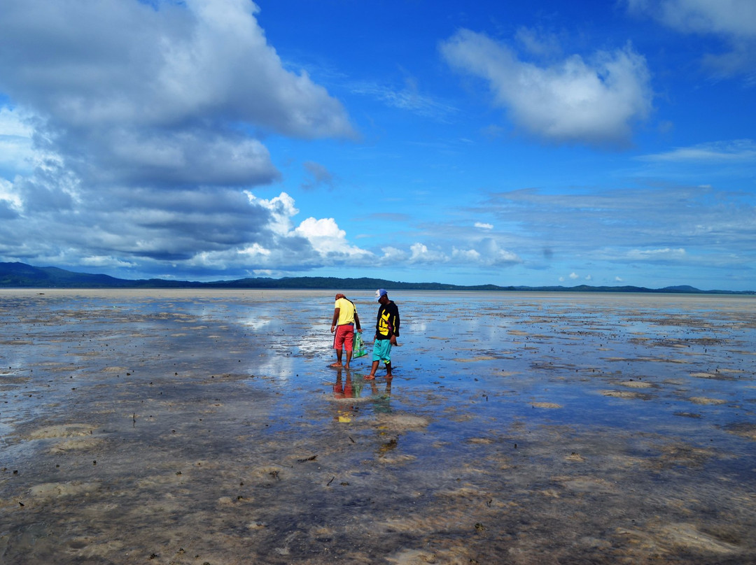 Kudat Division旅游攻略图片