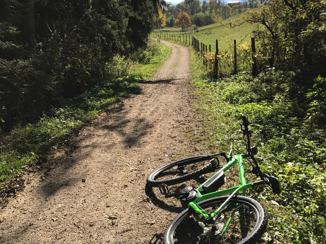 Green E-Bike Country-Saint-Nizier-du-Moucherotte必去景点