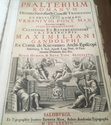 Seminary Palace and Library-卢布尔雅那必去景点