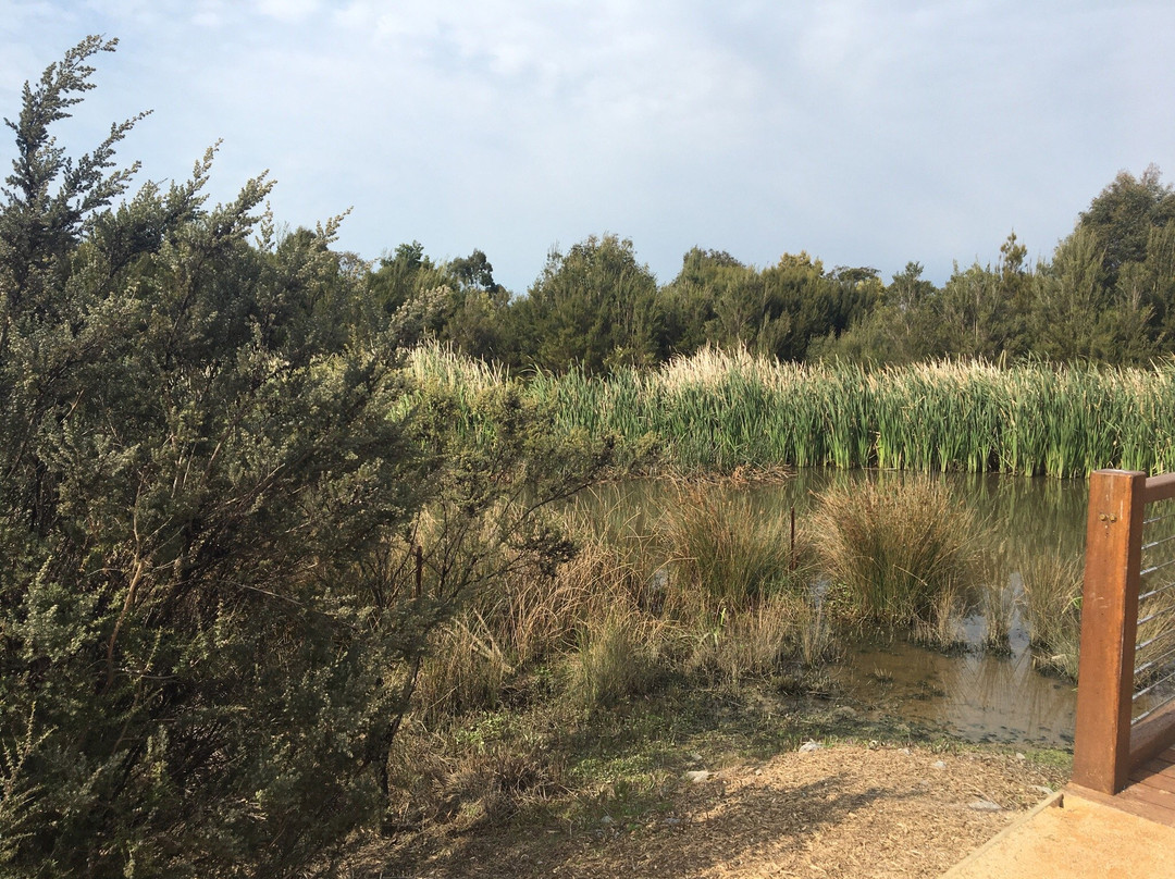 Botanic Ridge Wetlands-Cranbourne必去景点