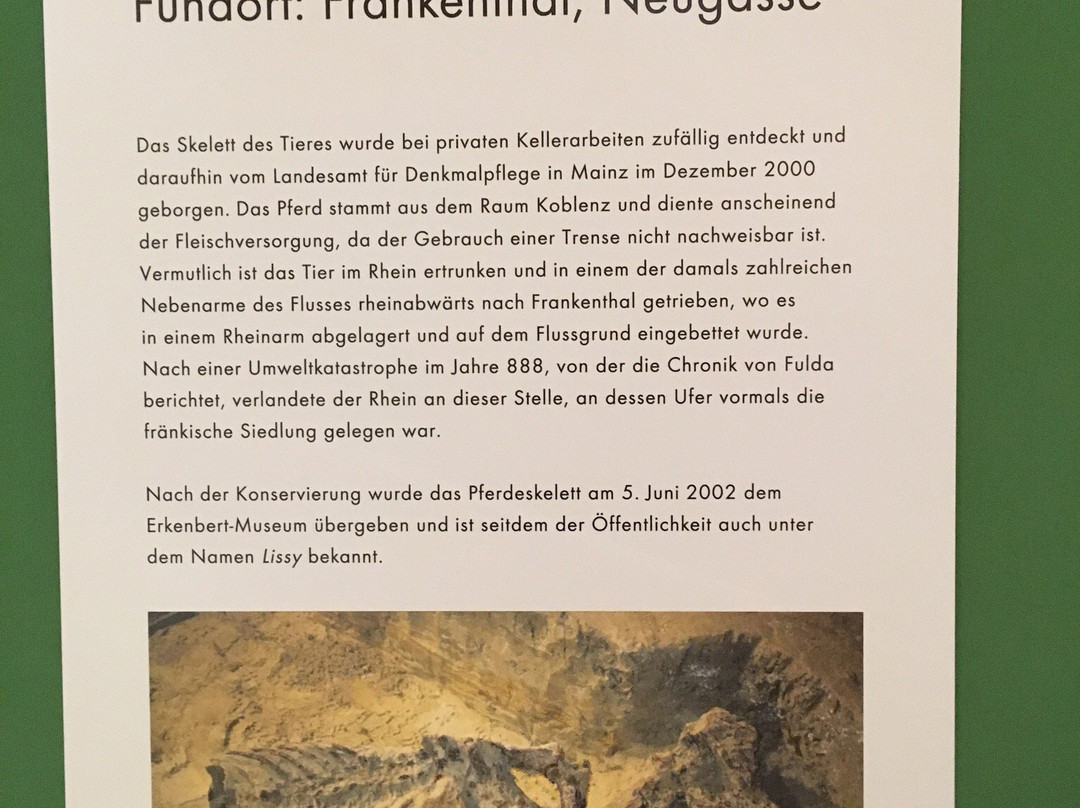 Erkenbert-Museum-弗兰肯塔尔必去景点