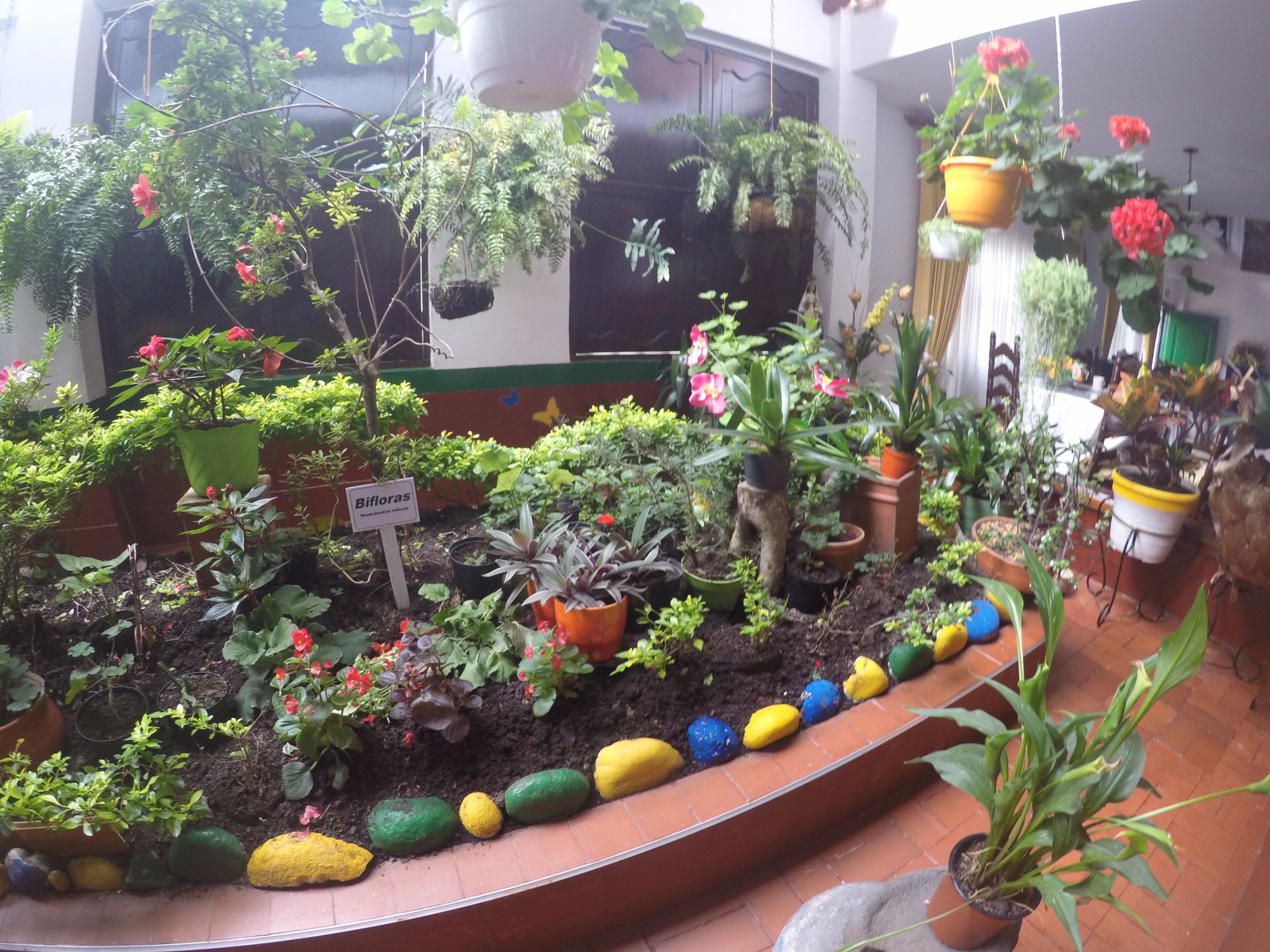 Hotel La Casona San Agustìn-酒店景观