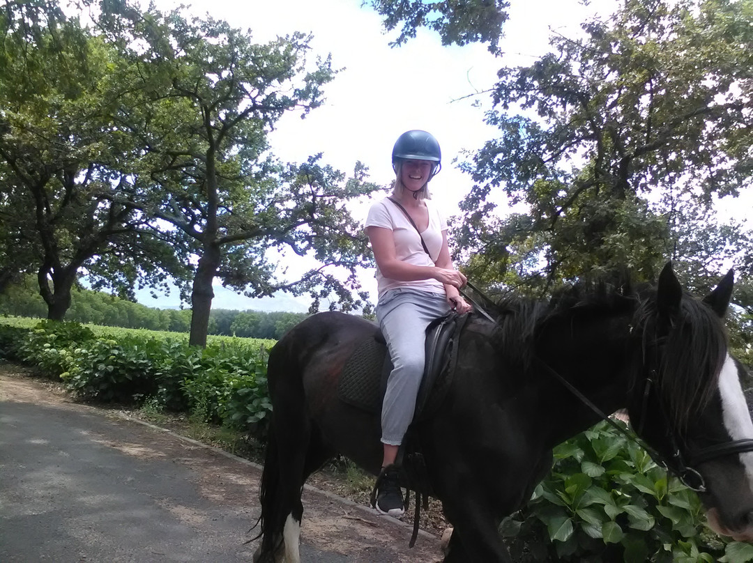 Faith4UTours-Pniel必去景点