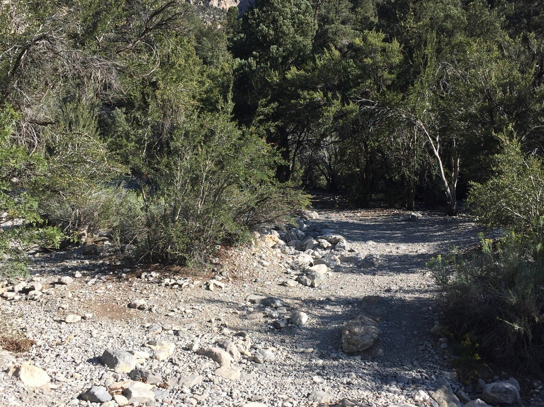 Spring Mountains Visitor Center-Mount Charleston必去景点