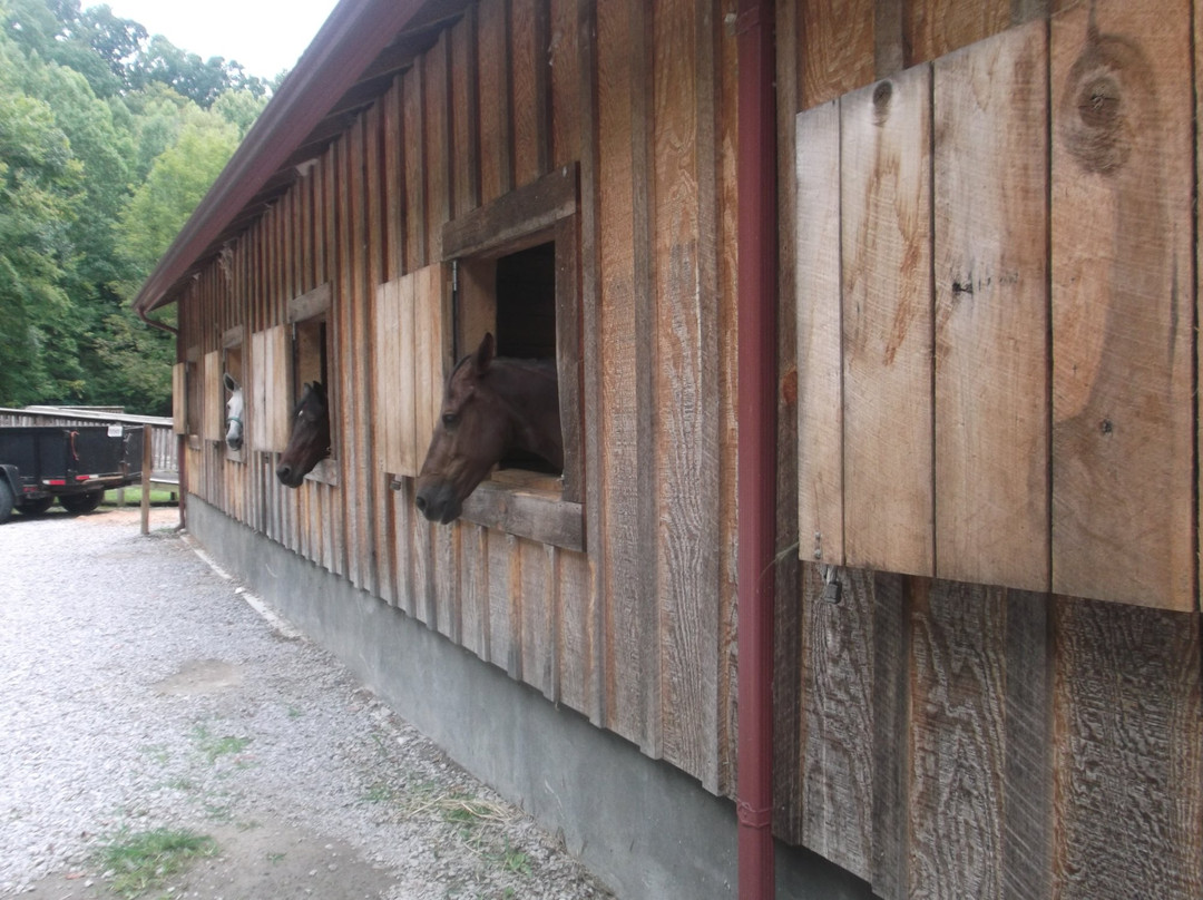 Bob Amos Park-Pikeville必去景点