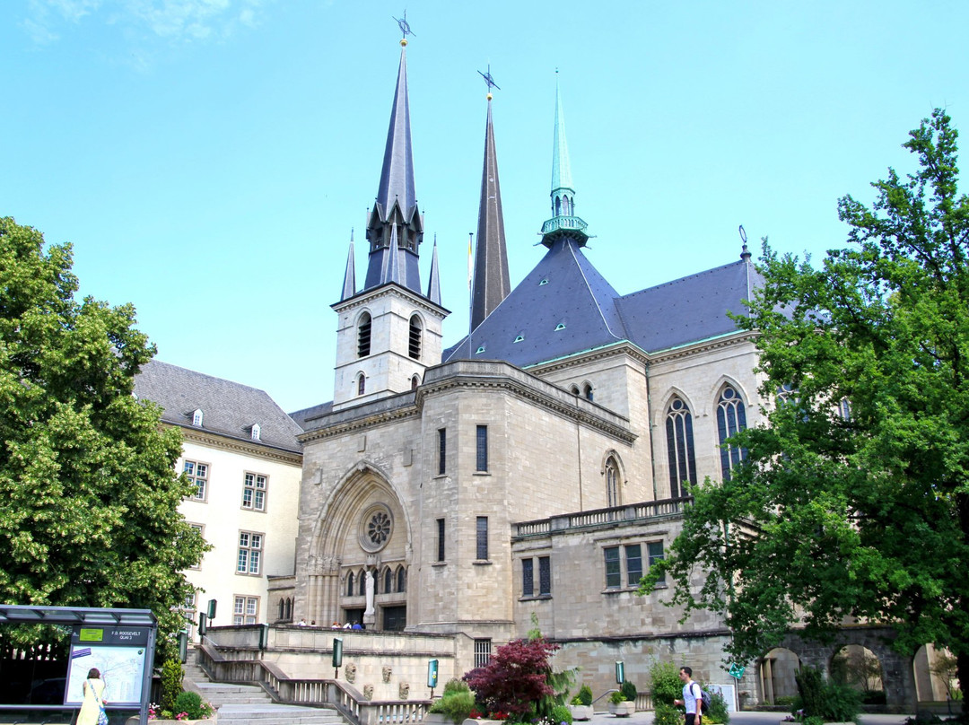 Cathédrale Notre-Dame景点图片