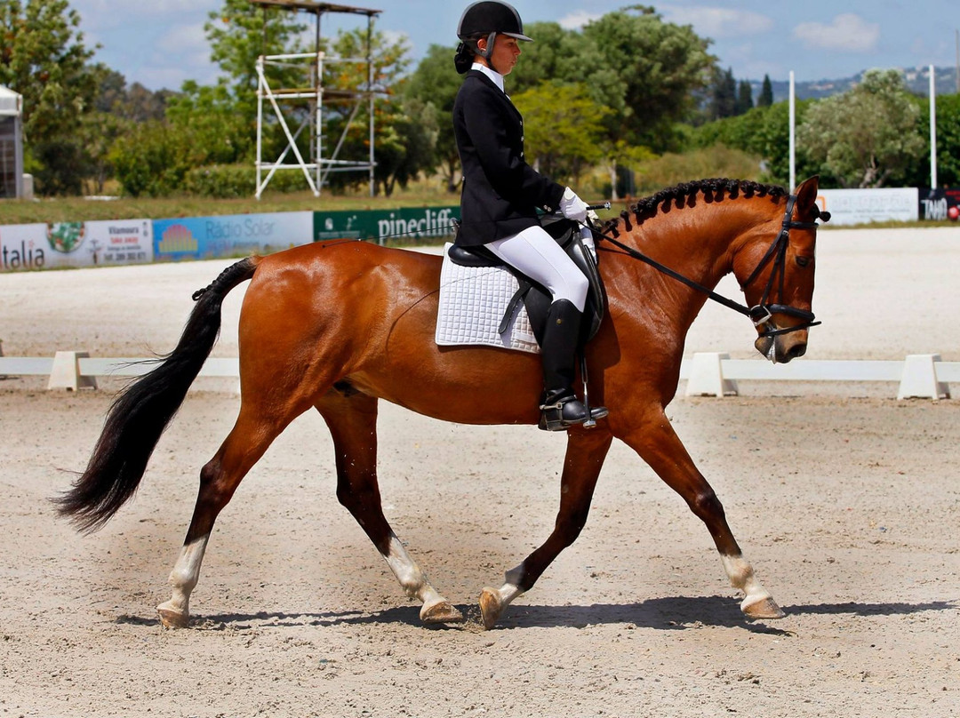 Tavira Horse Riding Quinta Beldade Stables-塔维拉必去景点