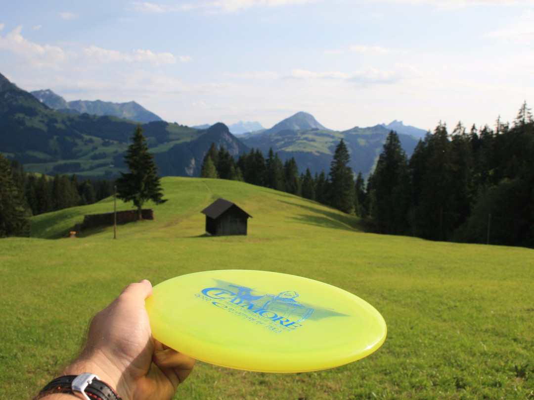Disc Golf Pays-d'Enhaut