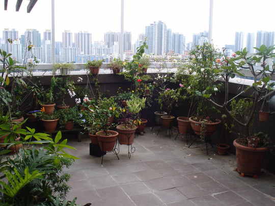 Traveling Spoon-新加坡必去景点