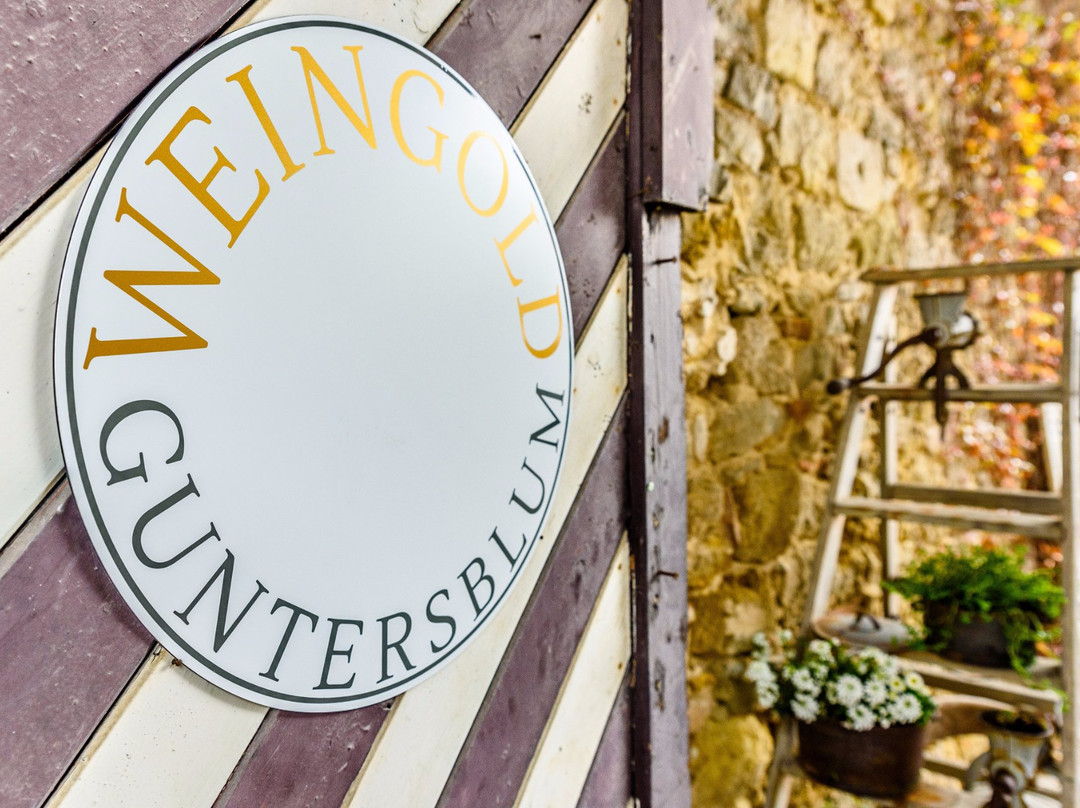 Landhotel Weingold Guntersblum主图