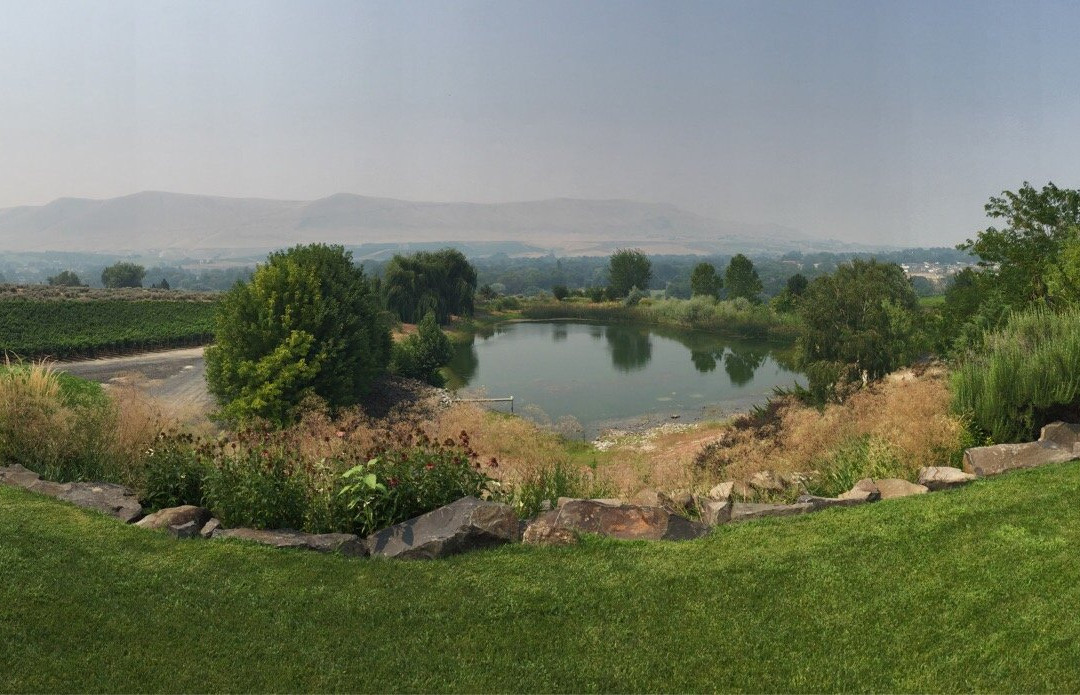 Terra Blanca Winery & Estate Vineyard景点图片