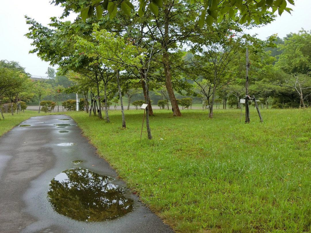 Kawakami Park-登别市必去景点