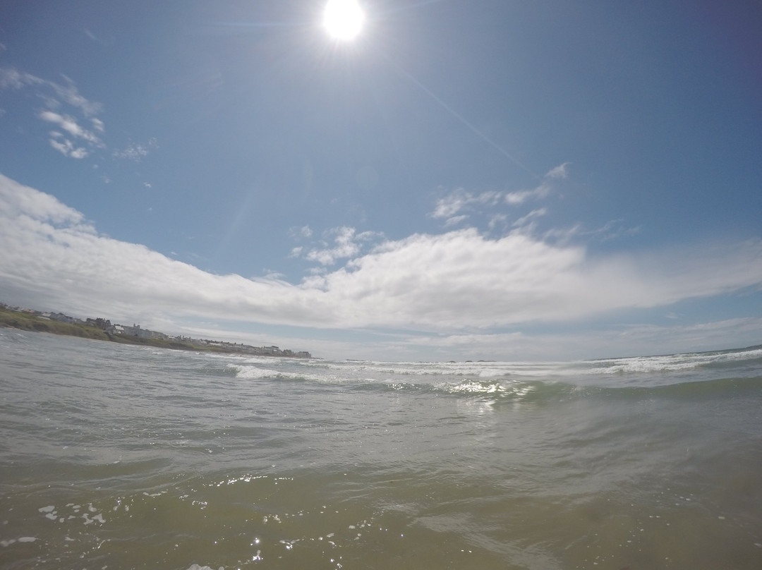 Gecko Surf and Paddleboard School景点图片