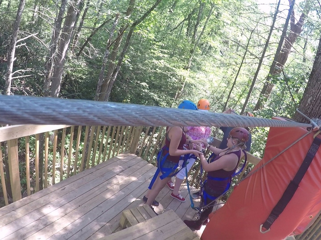 White Oak Ziplines-盖林柏格必去景点