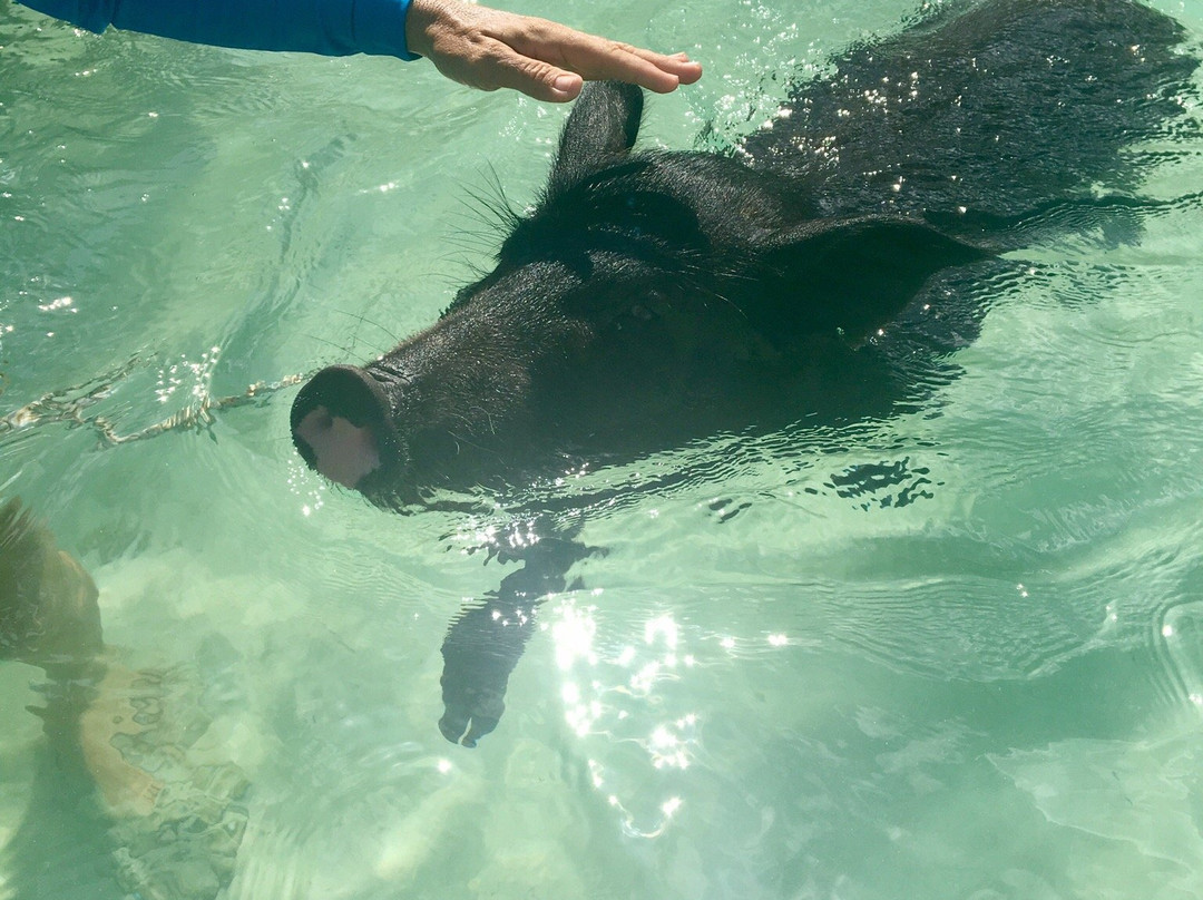 Tyman Fishing Charters-Spanish Wells必去景点