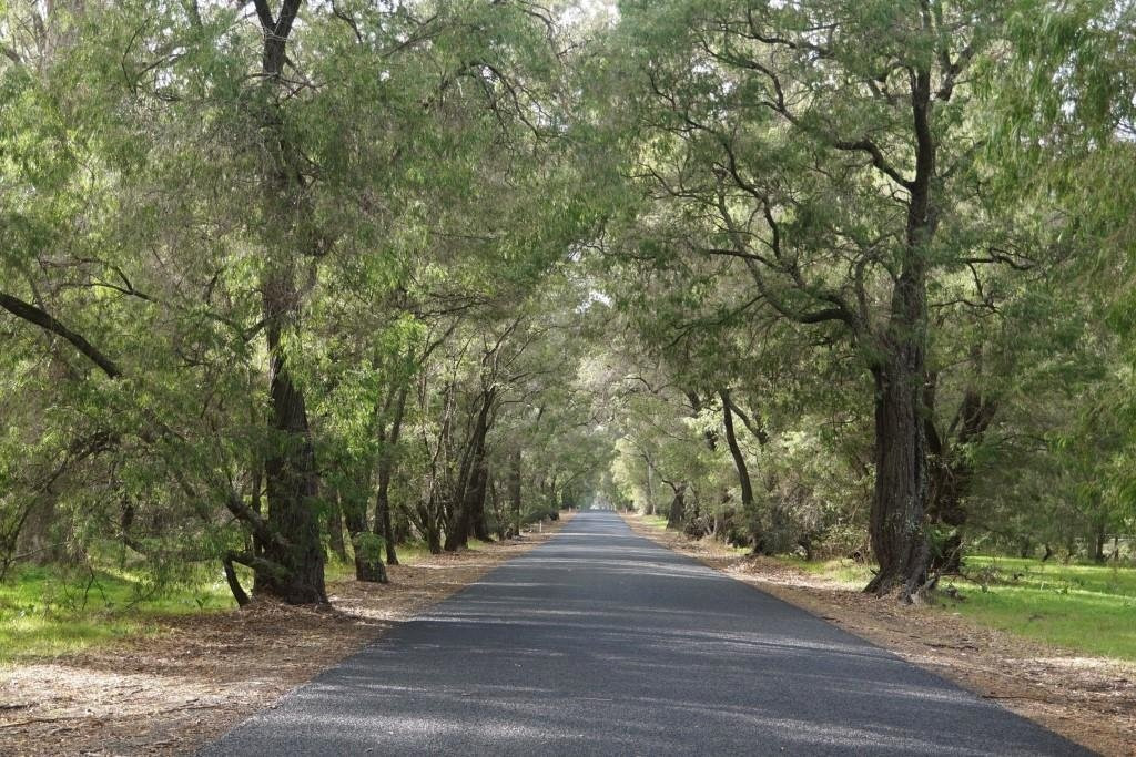 Tuart Forest National Park-巴瑟尔顿必去景点