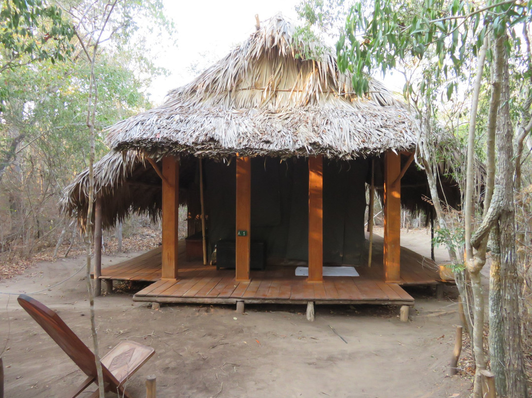 Le Camp Amoureux