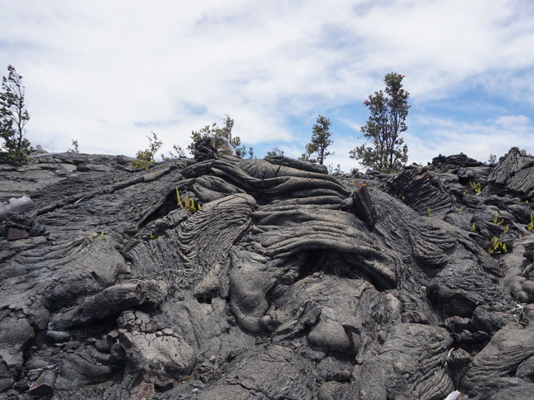 Napau-Makaopuhi Crater Trail景点图片