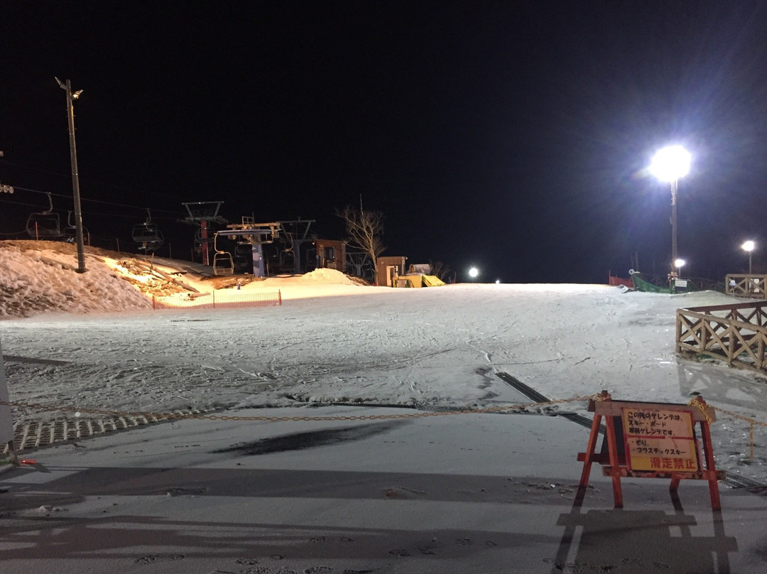 Snow Resort Yeti-裾野市必去景点