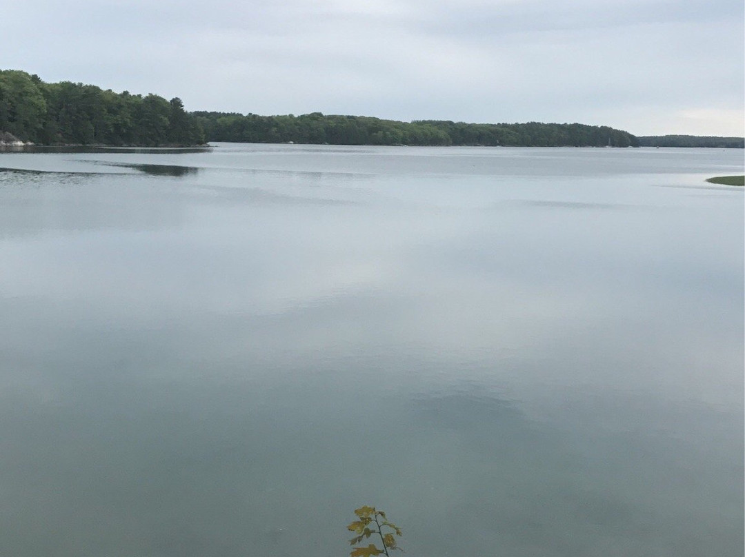 Thomas Point Beach景点图片