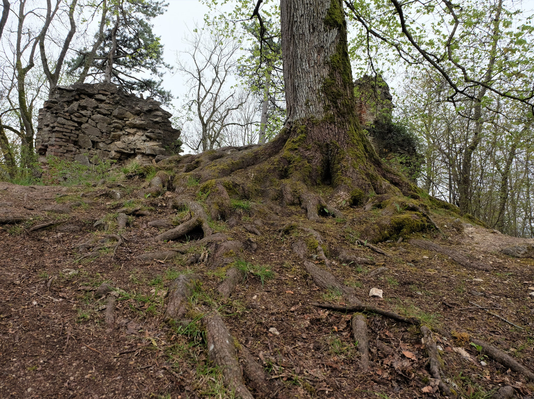Castle Ruins Hochhaus-Ederheim必去景点