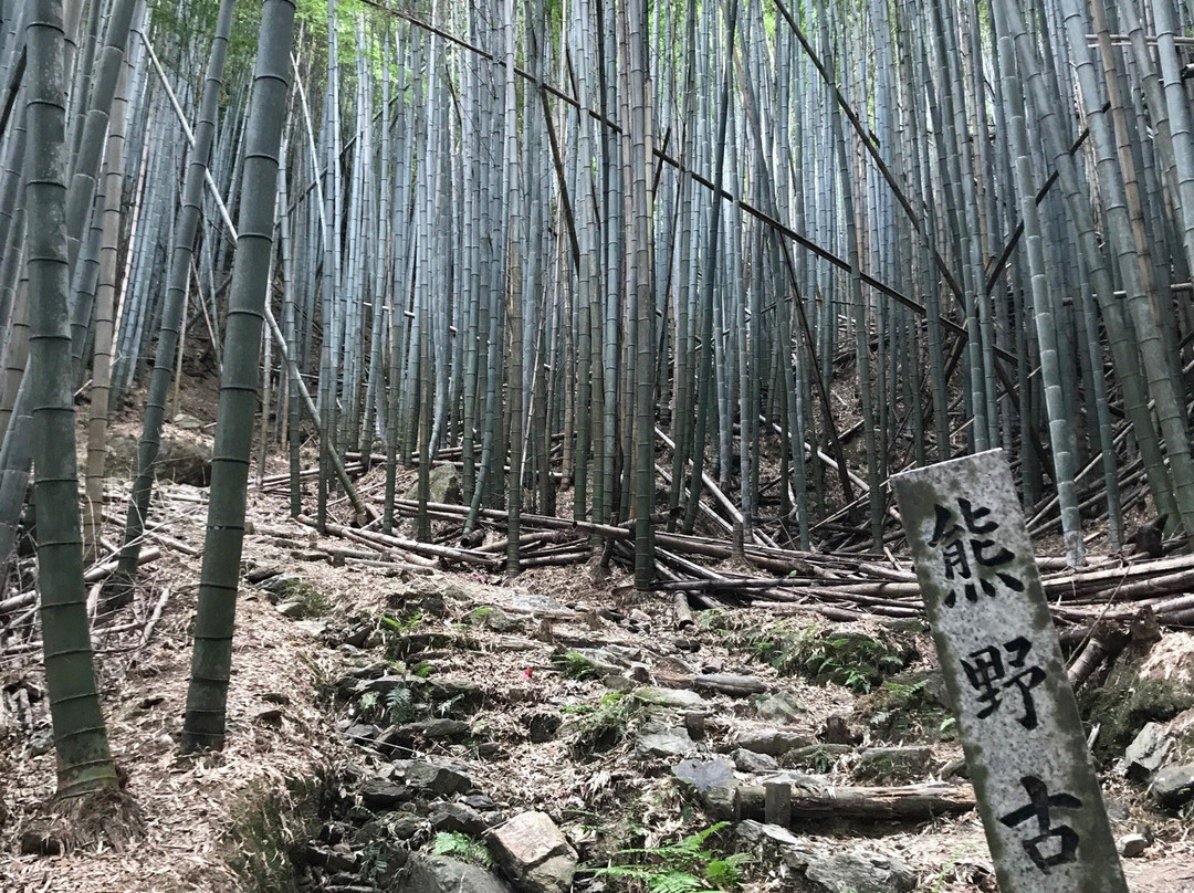 Fujishirozaka-海南市必去景点