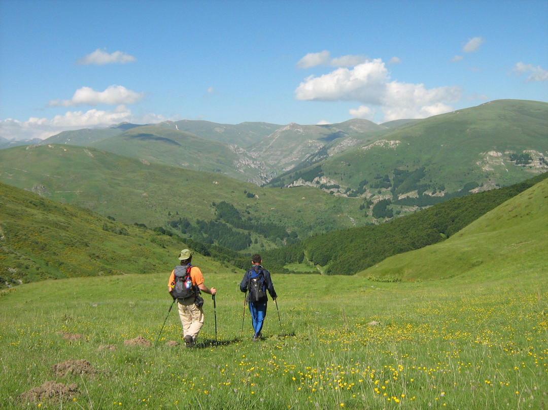 Mountain Experience景点图片