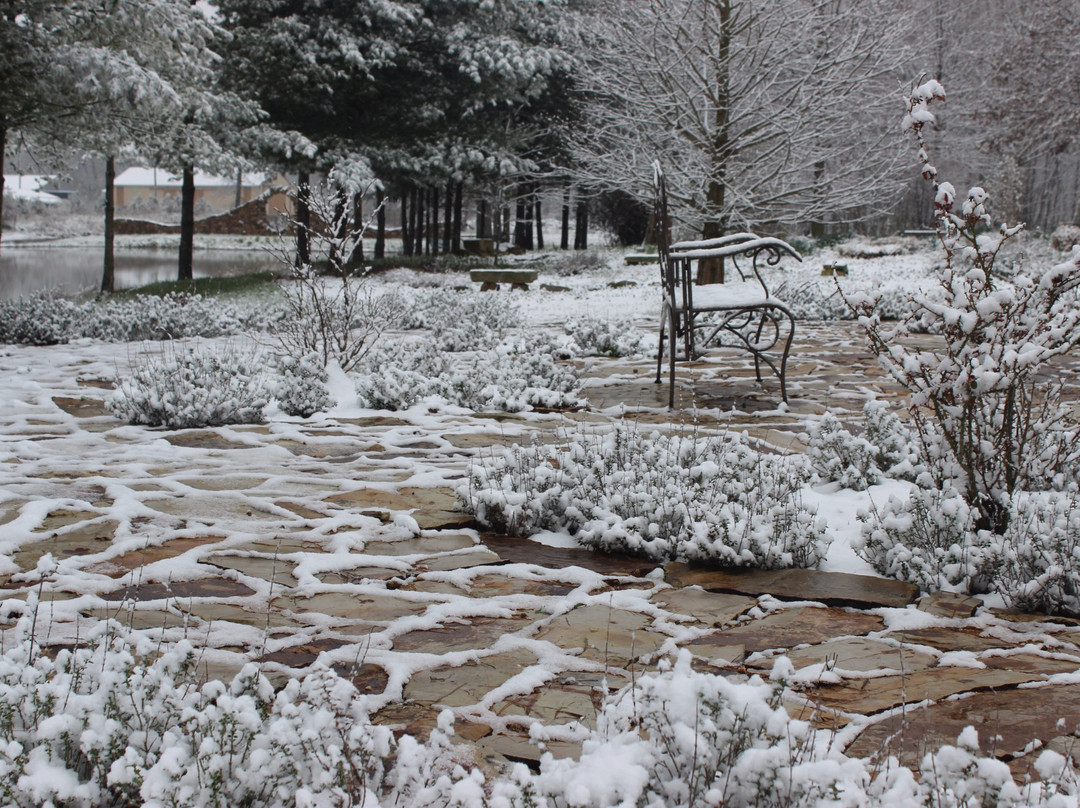 Mandala Gardens-Marion必去景点