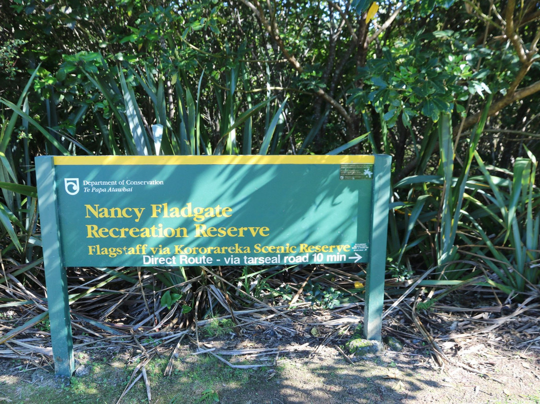 Nancy Fladgate Track景点图片