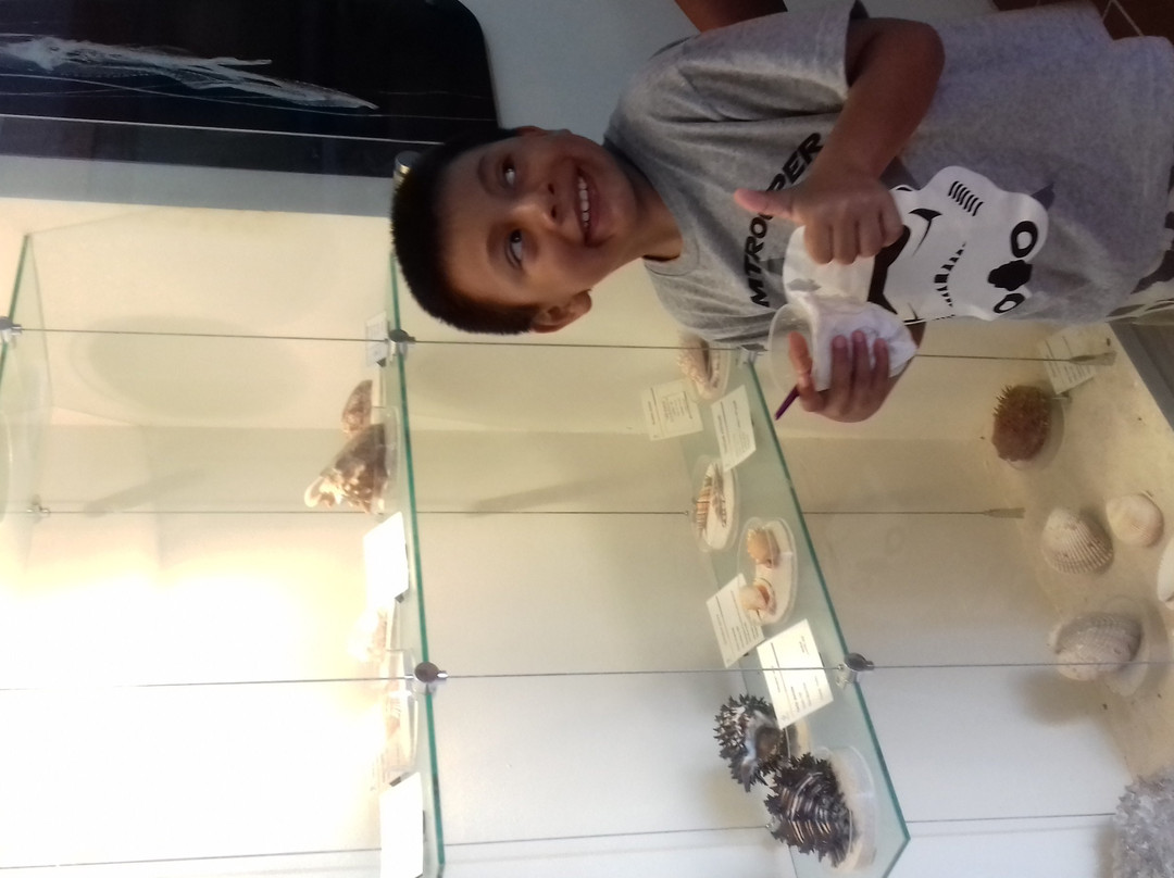 Museo Del Mar Mexico-Telchac Puerto必去景点